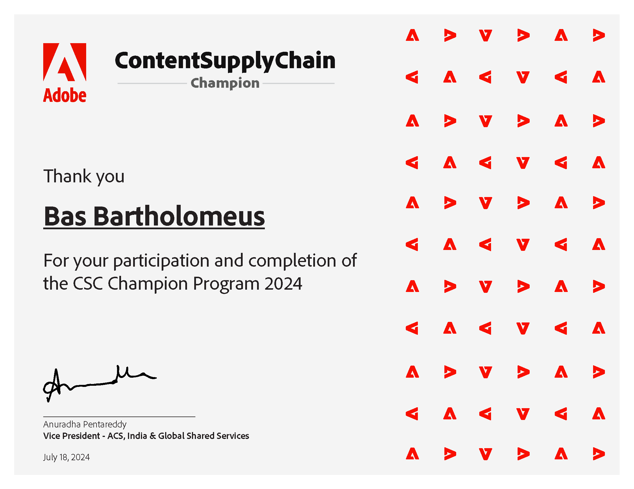 Adobe Content Supply Chain Champion